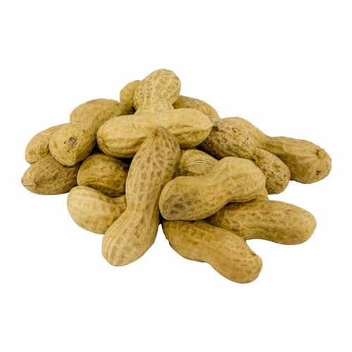 Erdnüsse in Schale (100g)
